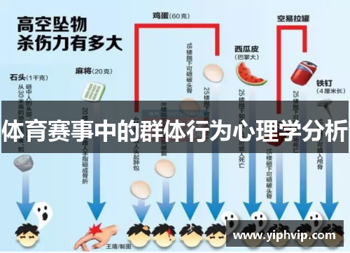 体育赛事中的群体行为心理学分析